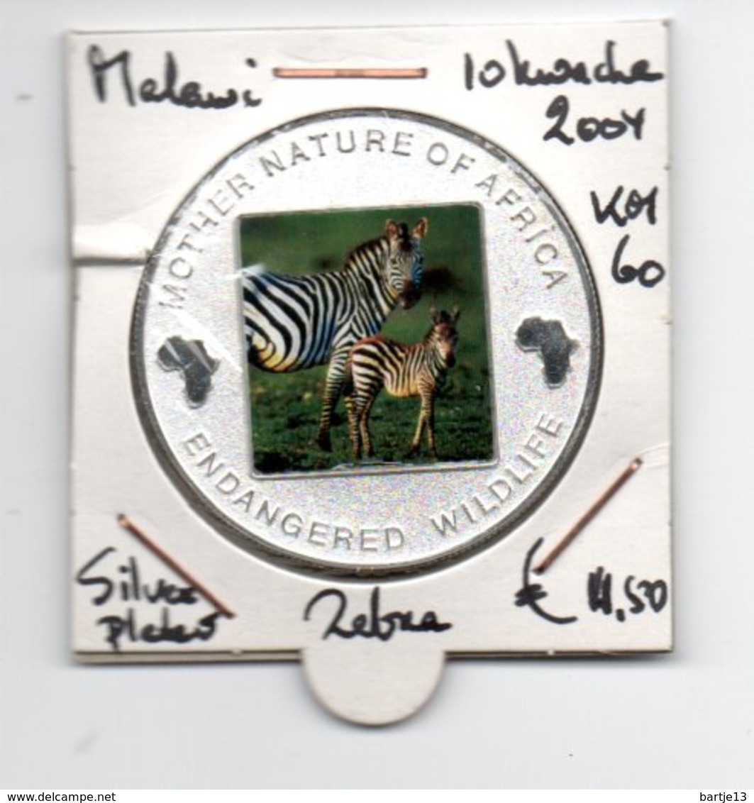 MALAWI 10 KWACHA 2004 PROOFLIKE SILVERPLATED COLOURED ENDANGERED WILDLIFE AFRICA ZEBRA'S - Malawi