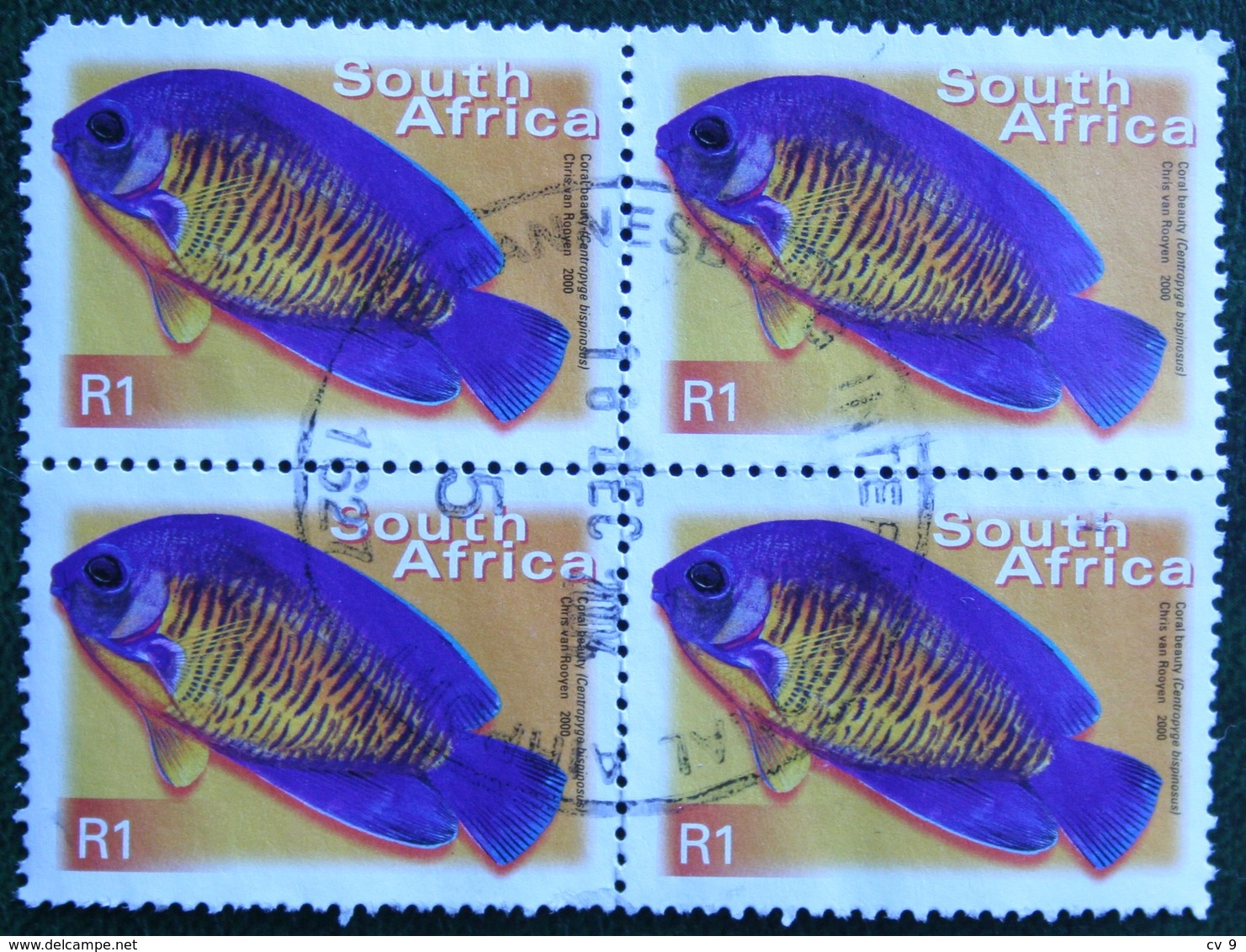 R1 Flora And Fauna Vis Fish Poisson Coral Beauty 2000 Mi 1295 Y&T - Used Gebruikt Oblitere SUD SOUTH AFRICA RSA - Used Stamps