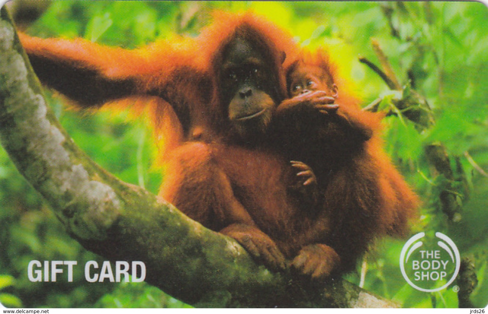 Gift Card - - - UK - - - Monkey - Gift Cards
