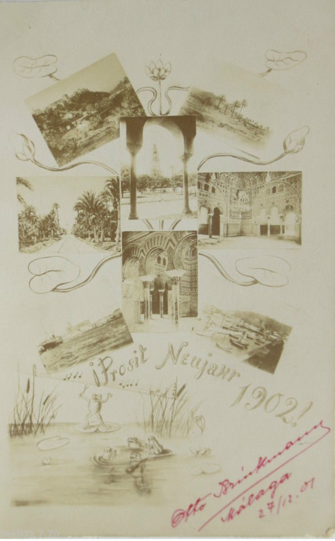 "Neujahr, Fotokarte, Frosch, Jahreszahl" 1902  ♥ (13178) - Nieuwjaar