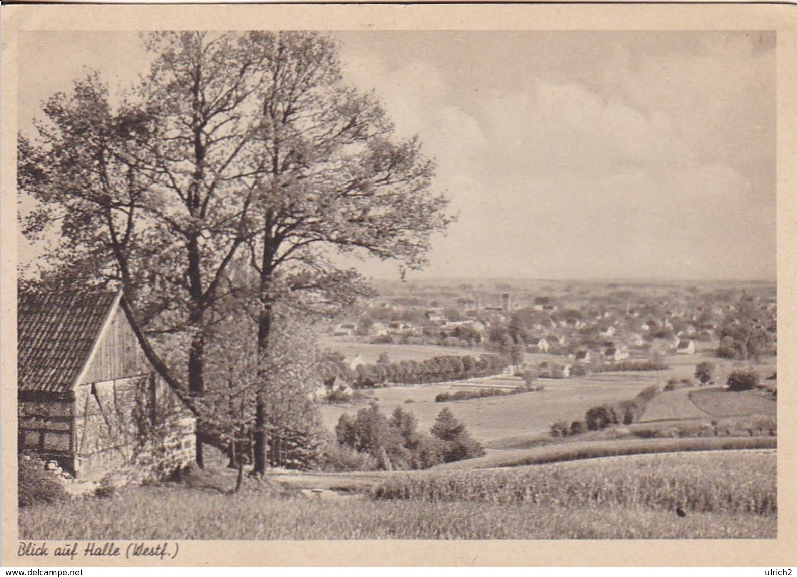 AK Blick Auf Halle - Westfalen  (48768) - Halle I. Westf.