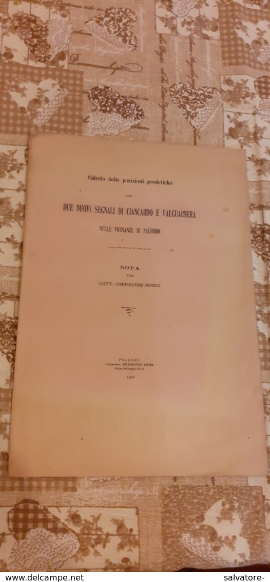 2 NUOVI SEGNALI DI CIANCARDO E VALGUARNERA NELLE VICINANZE DI PALERMO-1907- DOTTOR MINEO - Mathématiques Et Physique