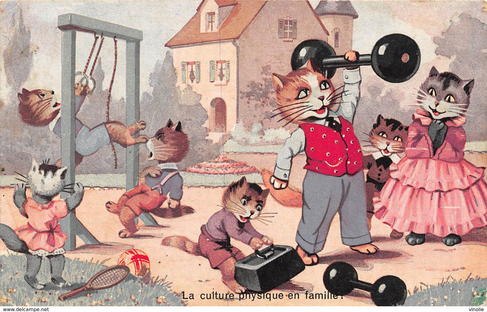 20-5343 : HALTEROPHILIE. HUMORISTIQUE. LA CULTURE PHYSIQUE EN FAMILLE. LES CHATS. - Pesistica