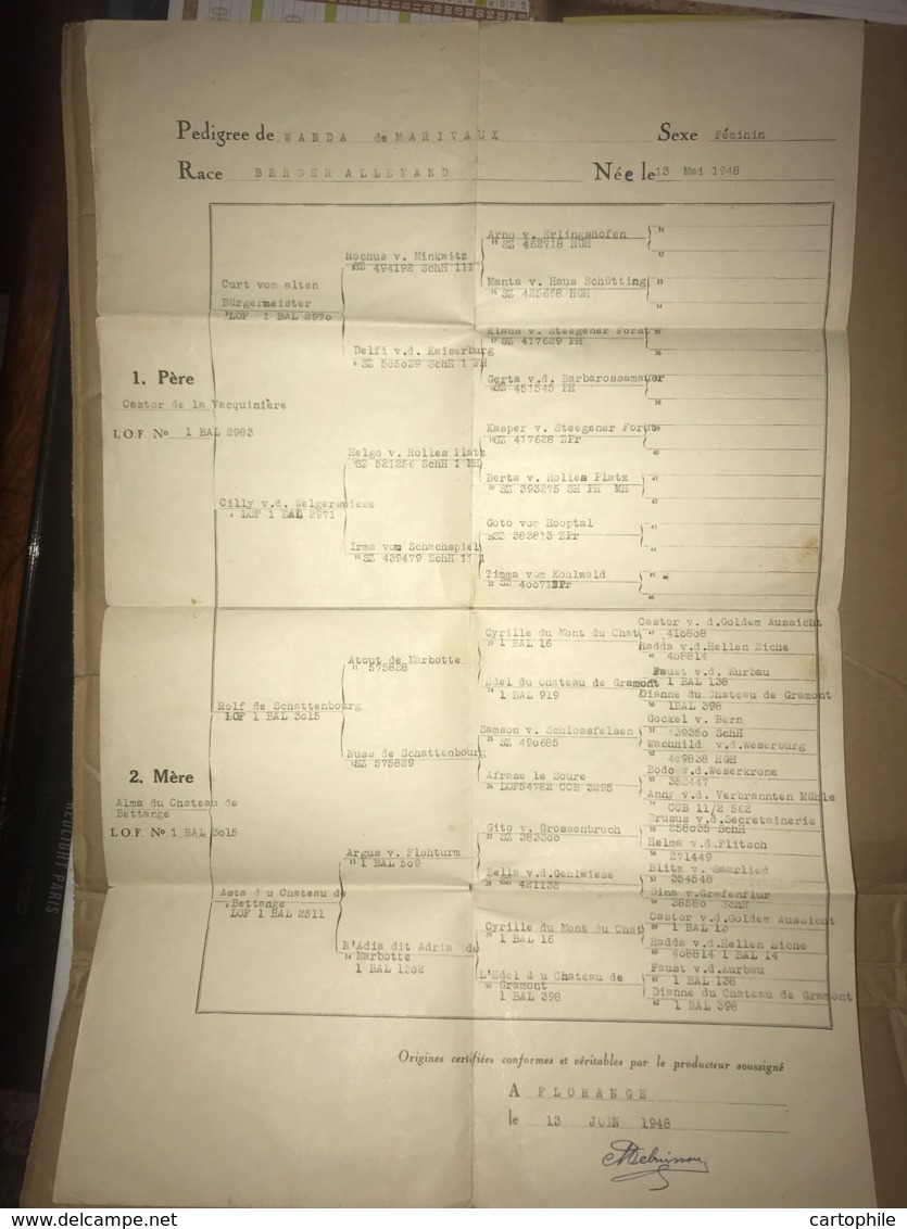 PEDIGREE Berger Allemand 1948 Florange Metz - Alma Chateau De Bettange - Castor De La Vacquinière - Wanda De Marivaux - Collections