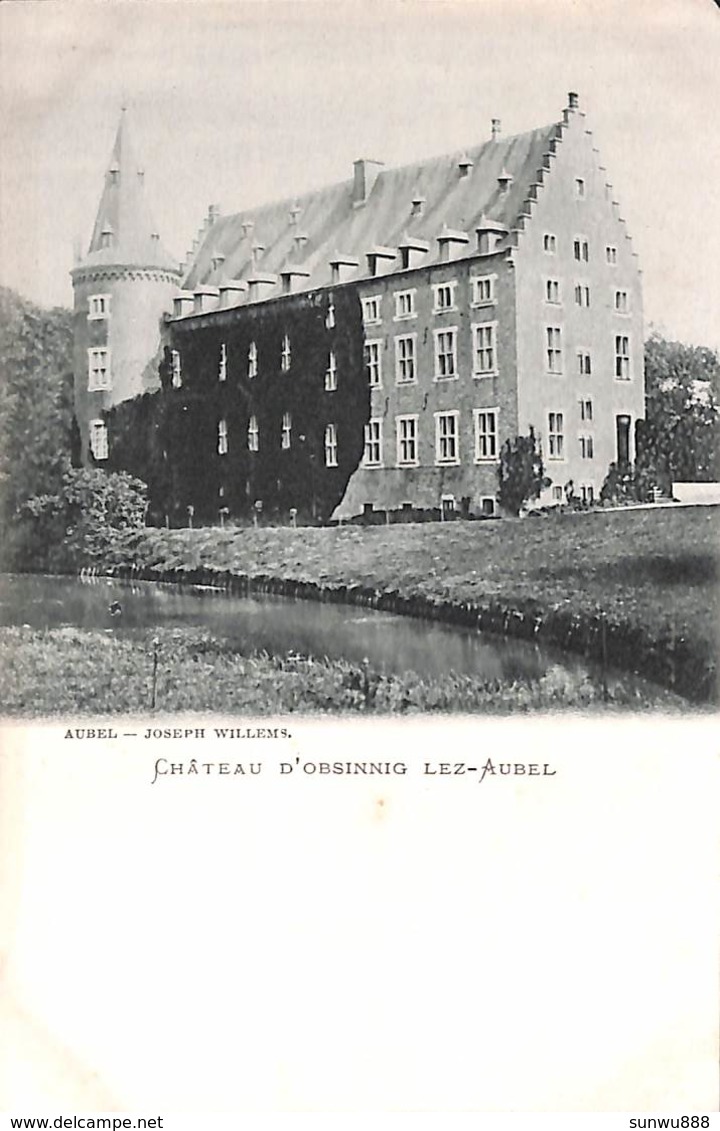 Aubel - Château D'Obsinnig Lez-Aubel (Joseph Willems) (prix Fixe, à Saisir) - Aubel