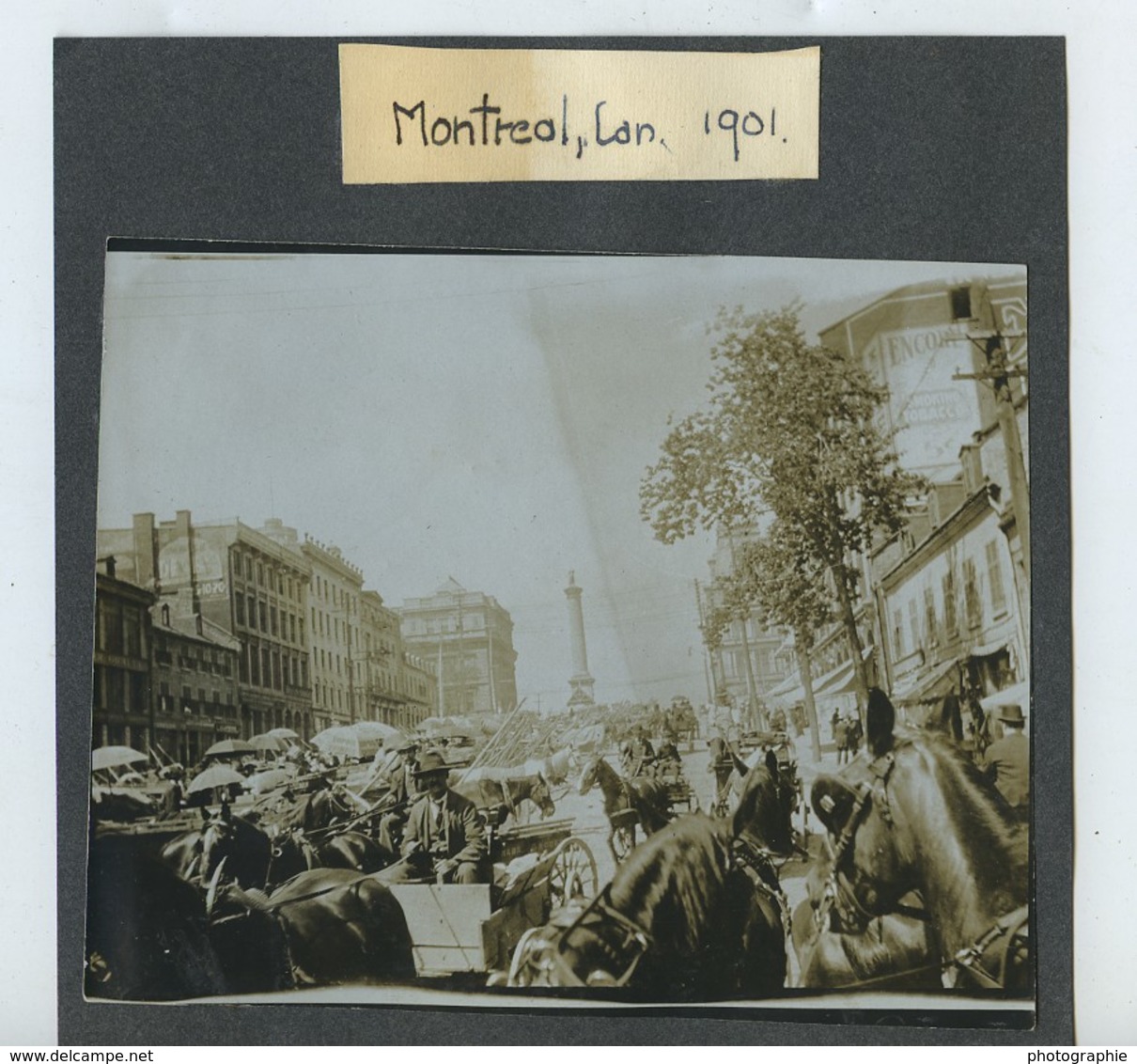 Canada Montréal  Belle Animation Rue Notre Dame? Chevaux Ancienne Photo 1901 - Places