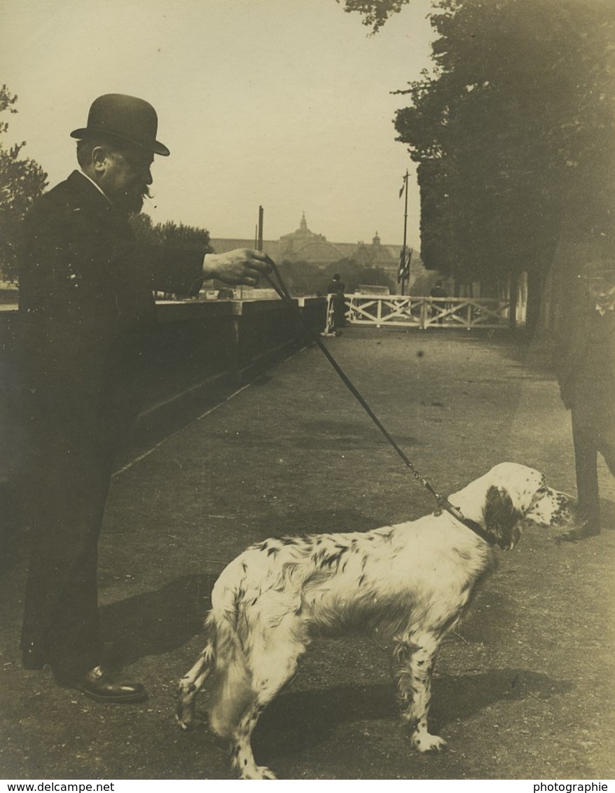 France Paris M Lasseran & Son Chien Prince De Colombes Setter? Ancienne Photo 1900 - Places