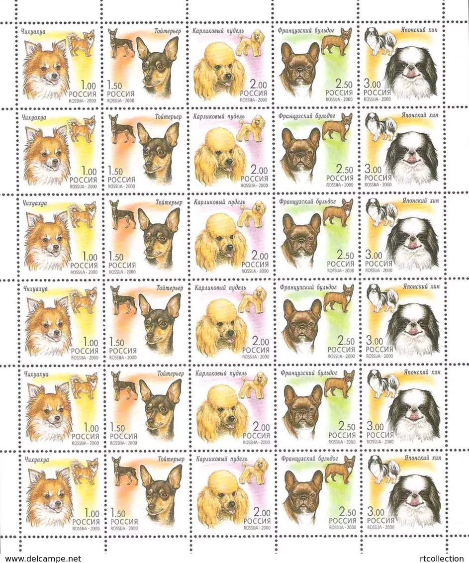 Russia  2000 Full Sheet Fauna Dog Animals Animal Decorative Dogs Nature Pets Domestic Pet Stamps MNH Mi 837-841 Sc 6598 - Hojas Completas