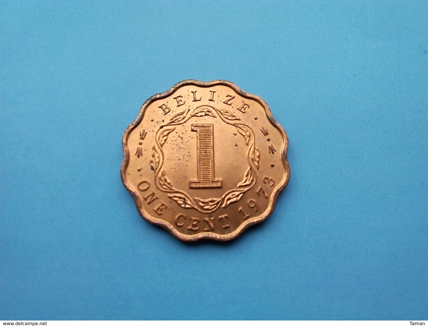 BELIZE   1 Cent  1973  --Spl-- - Belize