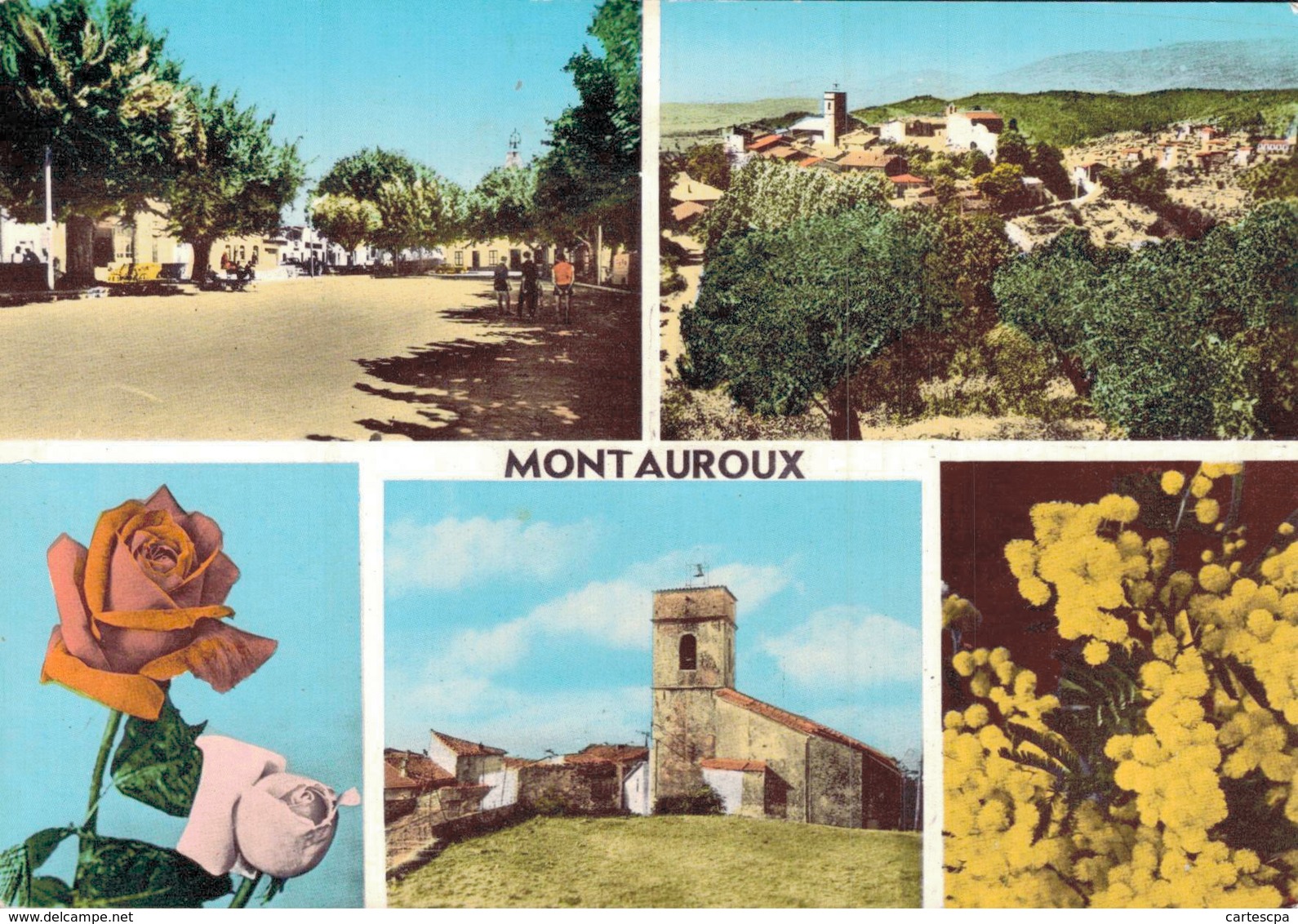 Montauroux Souvenir 1964 CPM Ou CPSM - Montauroux