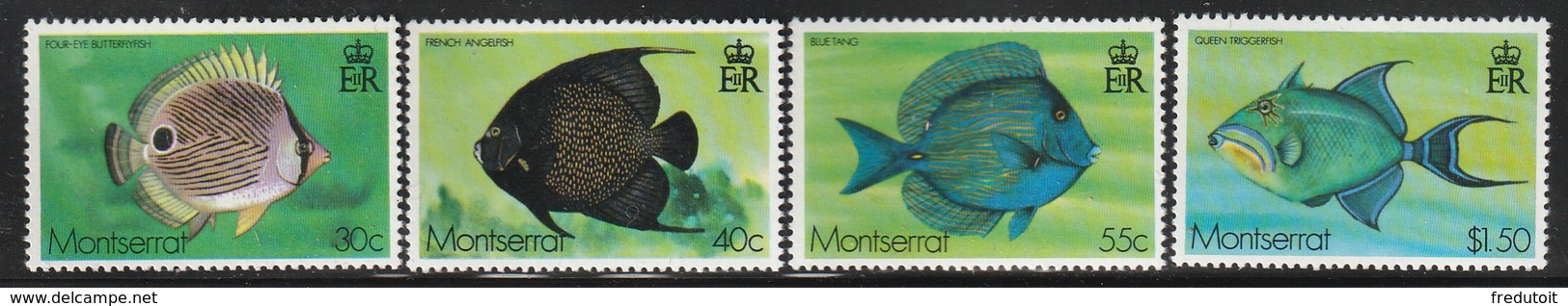 MONTSERRAT - N°382/5 ** (1978) Poissons - Montserrat