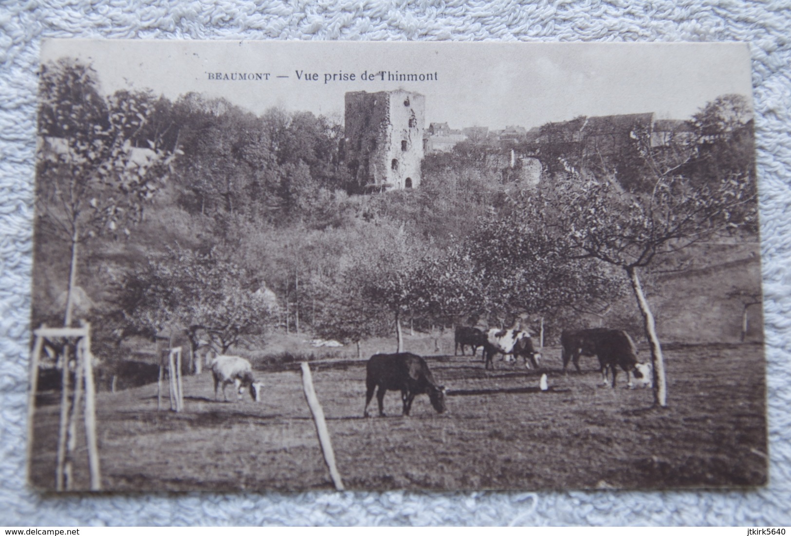 Beaumont "Vue Prise De Thinmont" - Beaumont