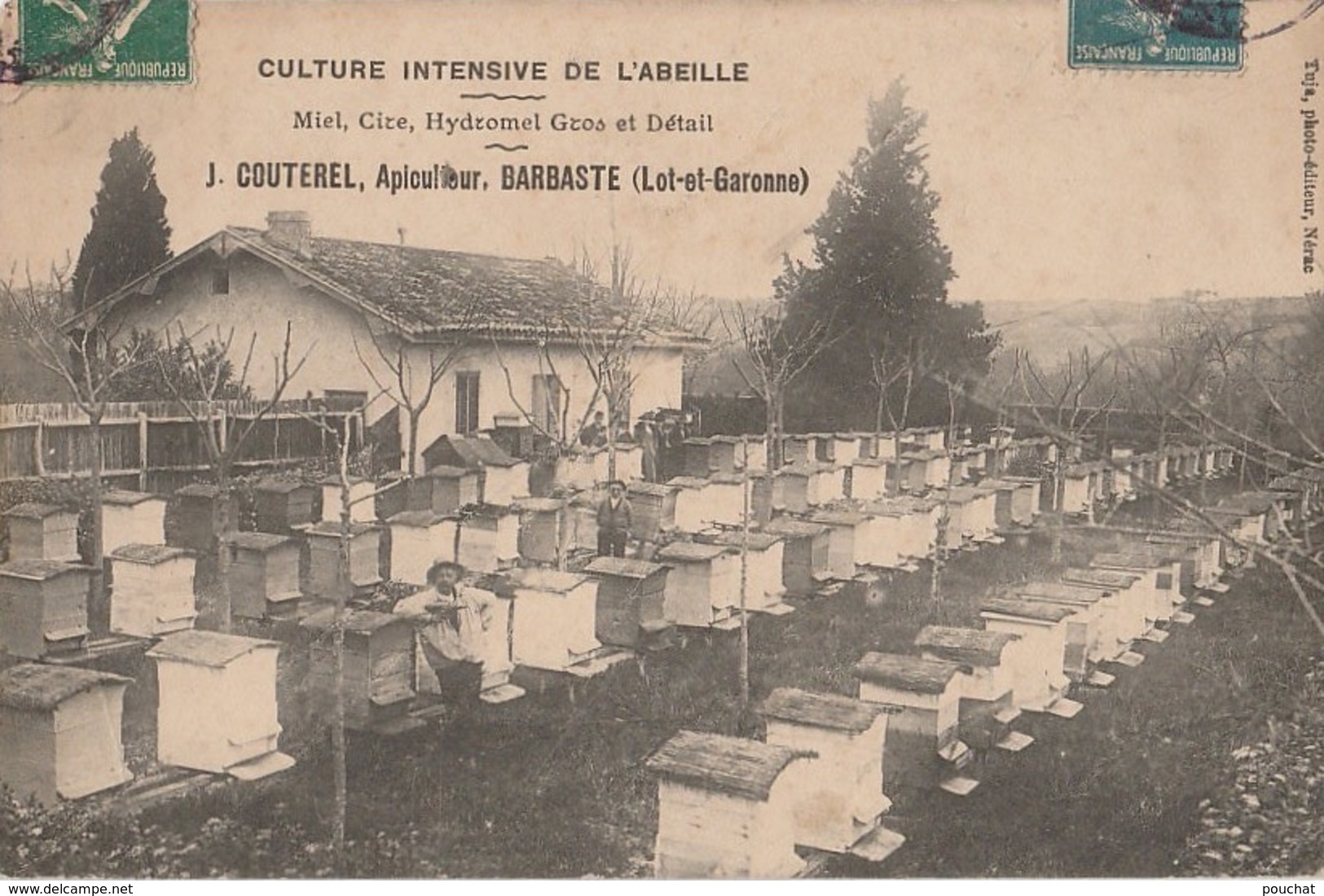 47) LAVARDAC - BARBASTE - APICULTURE - CULTURE INTENSIVE DE L'ABEILLE - J. COUTEREL - APICULTEUR - RUCHER - 2 S CANS - Lavardac