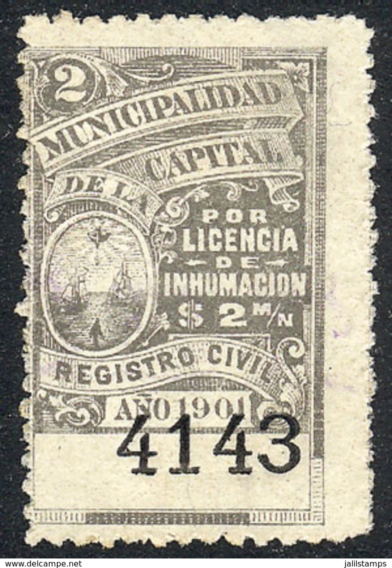 ARGENTINA: BUENOS AIRES: Internment, Year 1901, 2P. Black-gray, Used, Rare! - Other & Unclassified