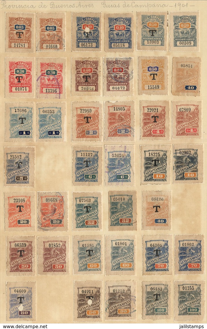 ARGENTINA: Province Of Buenos Aires, GUÍAS DE CAMPAÑA: Year 1901, 5c. To 100P., Complete Set Of 21 Examples With "T" Ove - Sonstige & Ohne Zuordnung