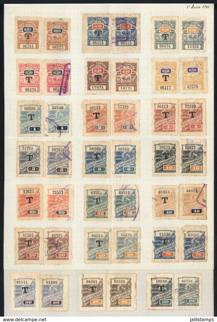 ARGENTINA: PROVINCE OF BUENOS AIRES: Guía De Campaña, Year 1901, Complete Set Of 42 Values Between 5c. And $100, Used Or - Sonstige & Ohne Zuordnung