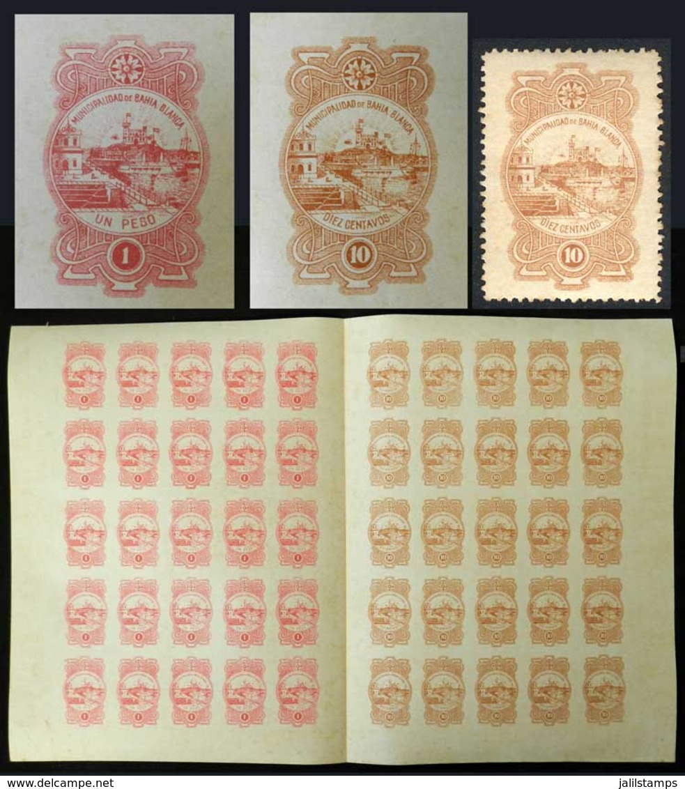 ARGENTINA: Province Of BUENOS AIRES - Municipality Of BAHÍA BLANCA: Imperforate Double Sheet (circa 1890) With 25 Stamps - Sonstige & Ohne Zuordnung