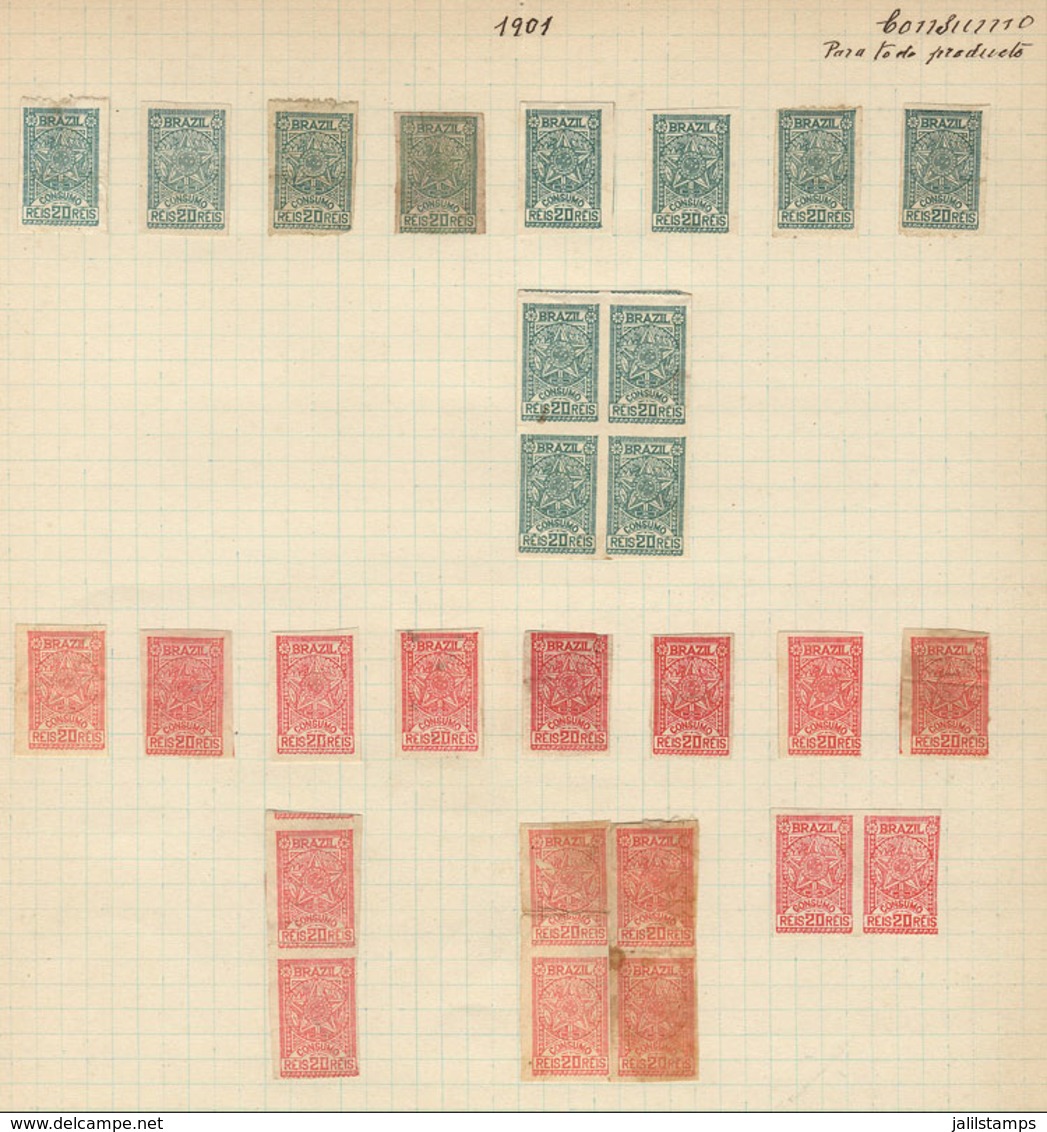 BRAZIL: CONSUMO: Year 1901, 5 Album Pages Of An Old Collection With 135 Stamps, Fine General Quality (some With Defects) - Sonstige & Ohne Zuordnung