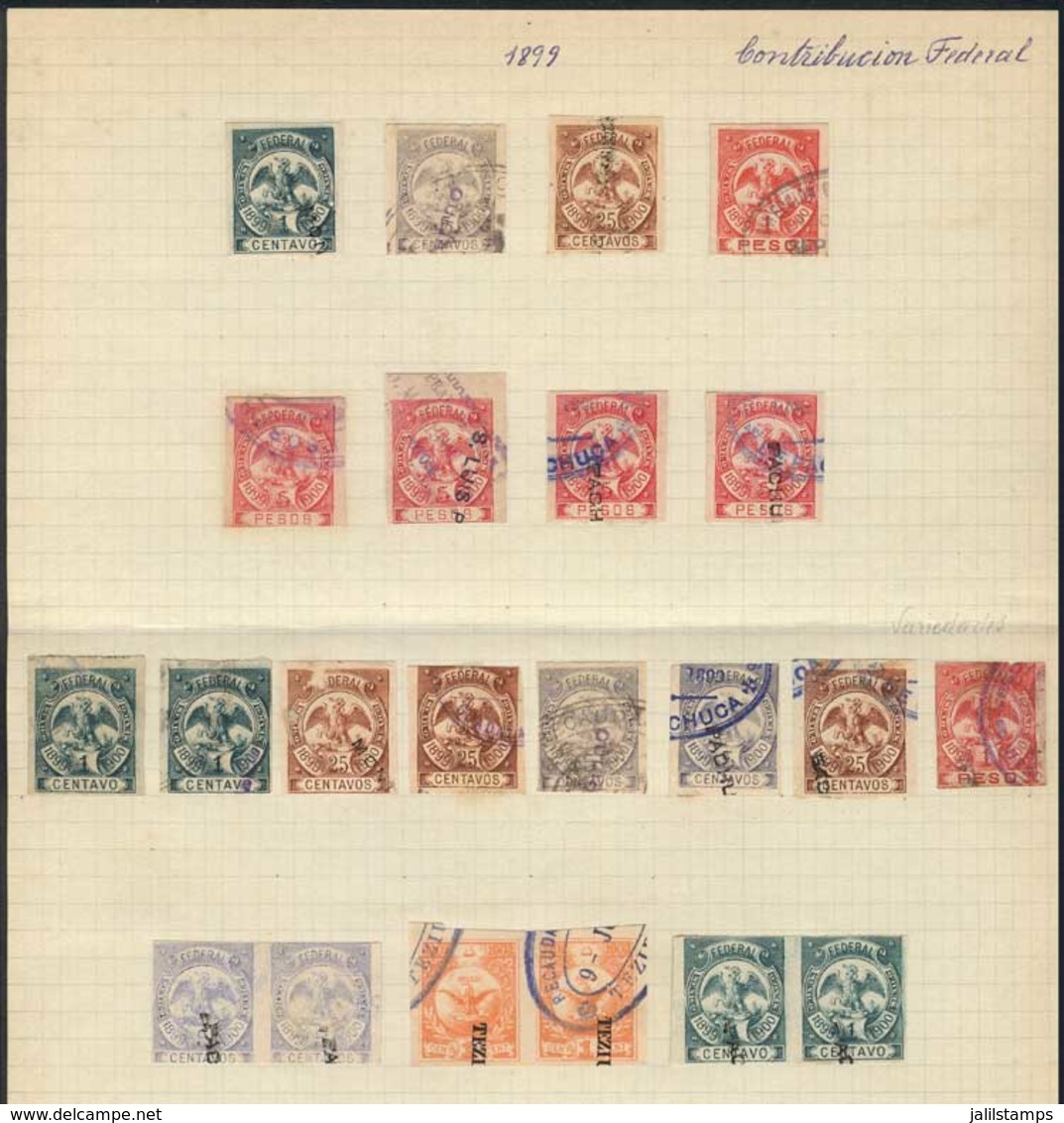 MEXICO: 22 Stamps For Federal Contribution, Year 1899, Values Up To 5P., Interesting, Topic Fauna (eagle, Snake) And Cac - Mexiko