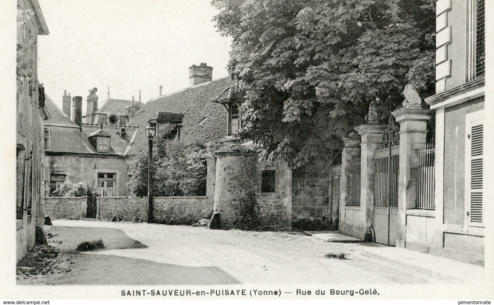 SAINT SAUVEUR EN PUISAYE RUE DU BOURG GELE - Saint Sauveur En Puisaye