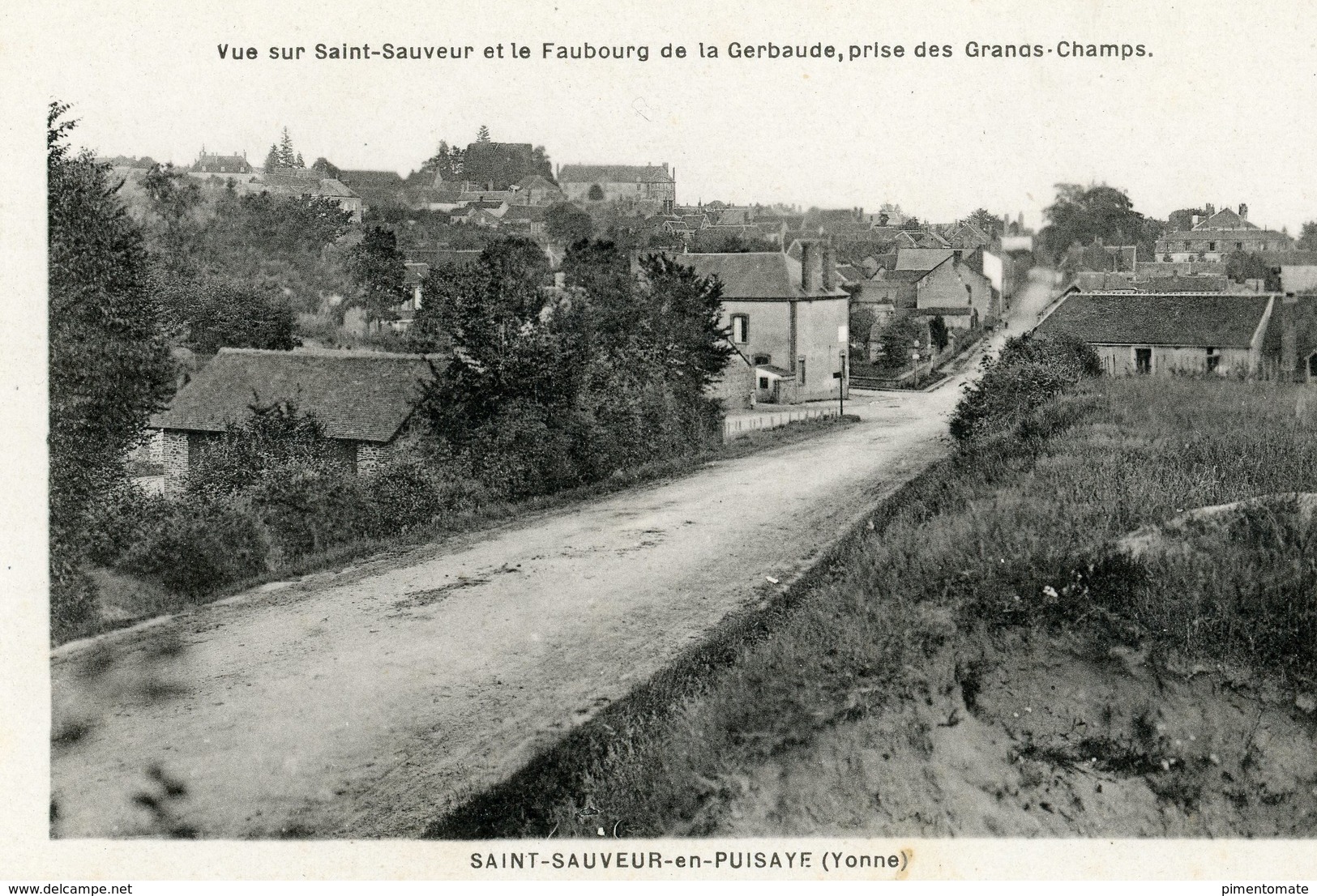 SAINT SAUVEUR EN PUISAYE VUE SUR SAINT SAUVEUR ET LE FAUBOURG DE LA GERBAUDE PRISE DES GRANDS CHAMPS - Saint Sauveur En Puisaye