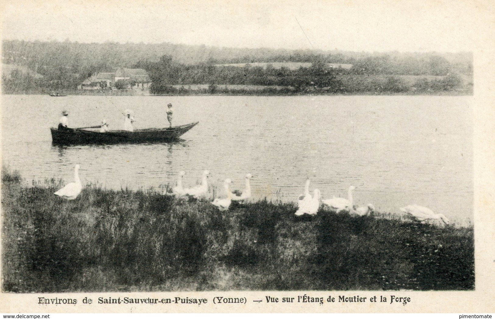 SAINT SAUVEUR EN PUISAYE ETANG DE MOUTIER ET LA FORGE - Saint Sauveur En Puisaye