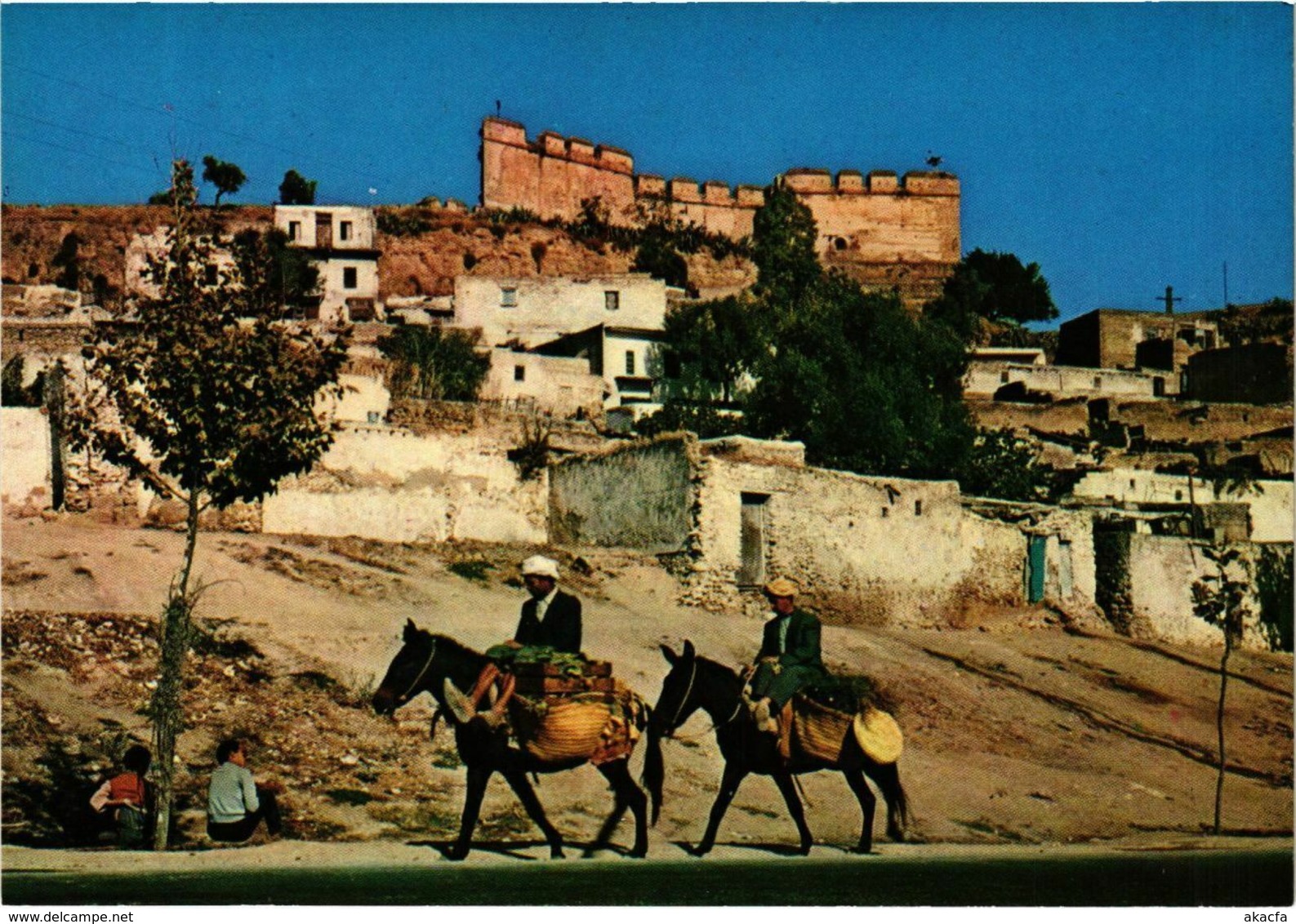 CPM AK Fez- Les Meridines MAROC (880407) - Fez (Fès)