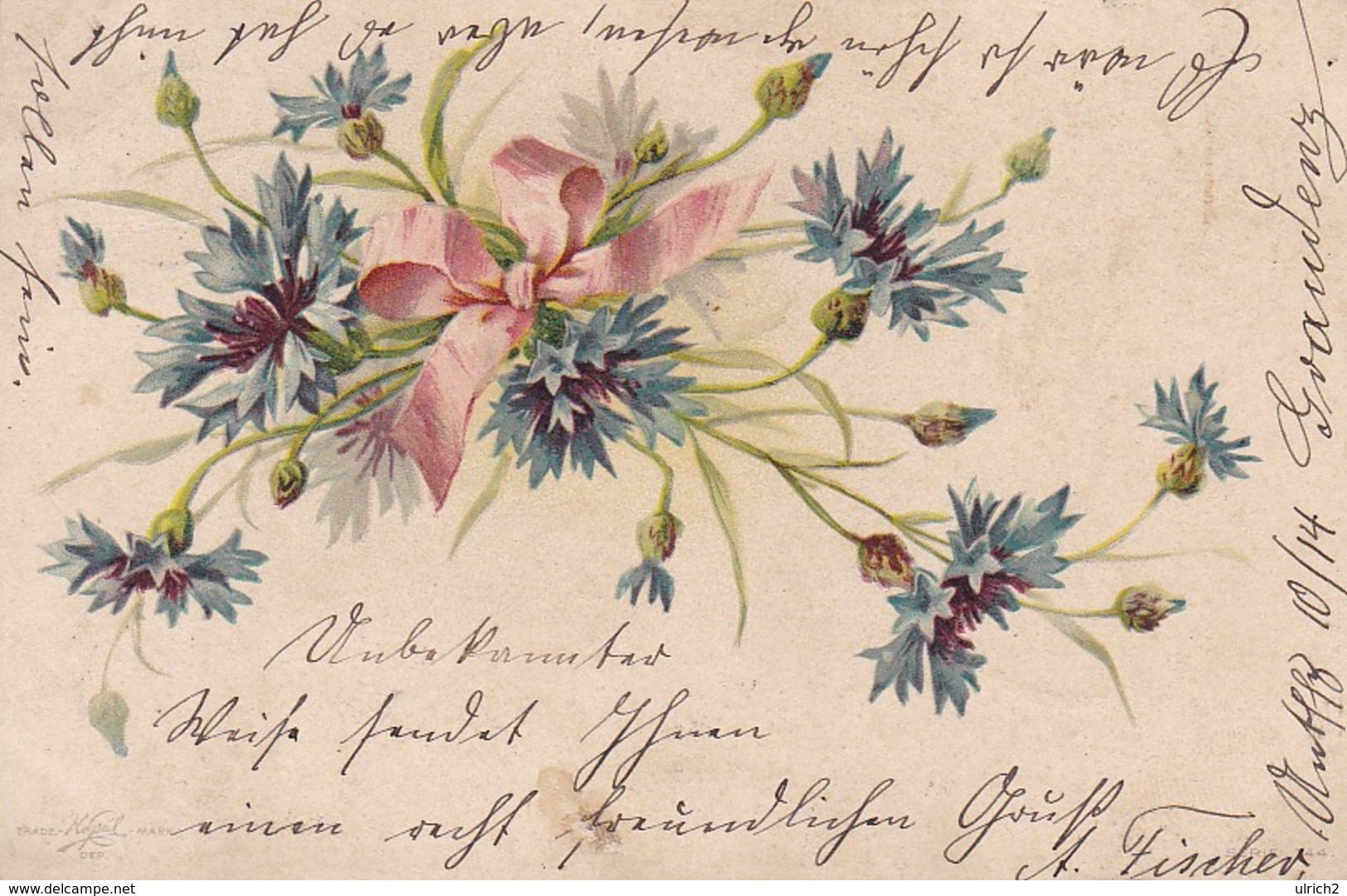 AK Blumen Mit Schleife - Künstlerkarte - 1901 (48804) - Fleurs
