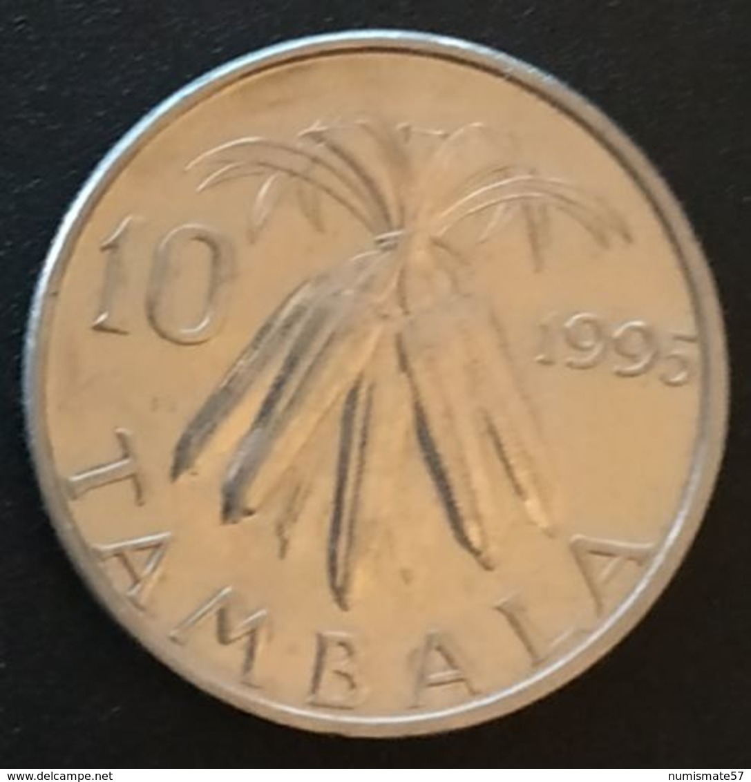 MALAWI - 10 TAMBALA 1995 - KM 27 - Malawi