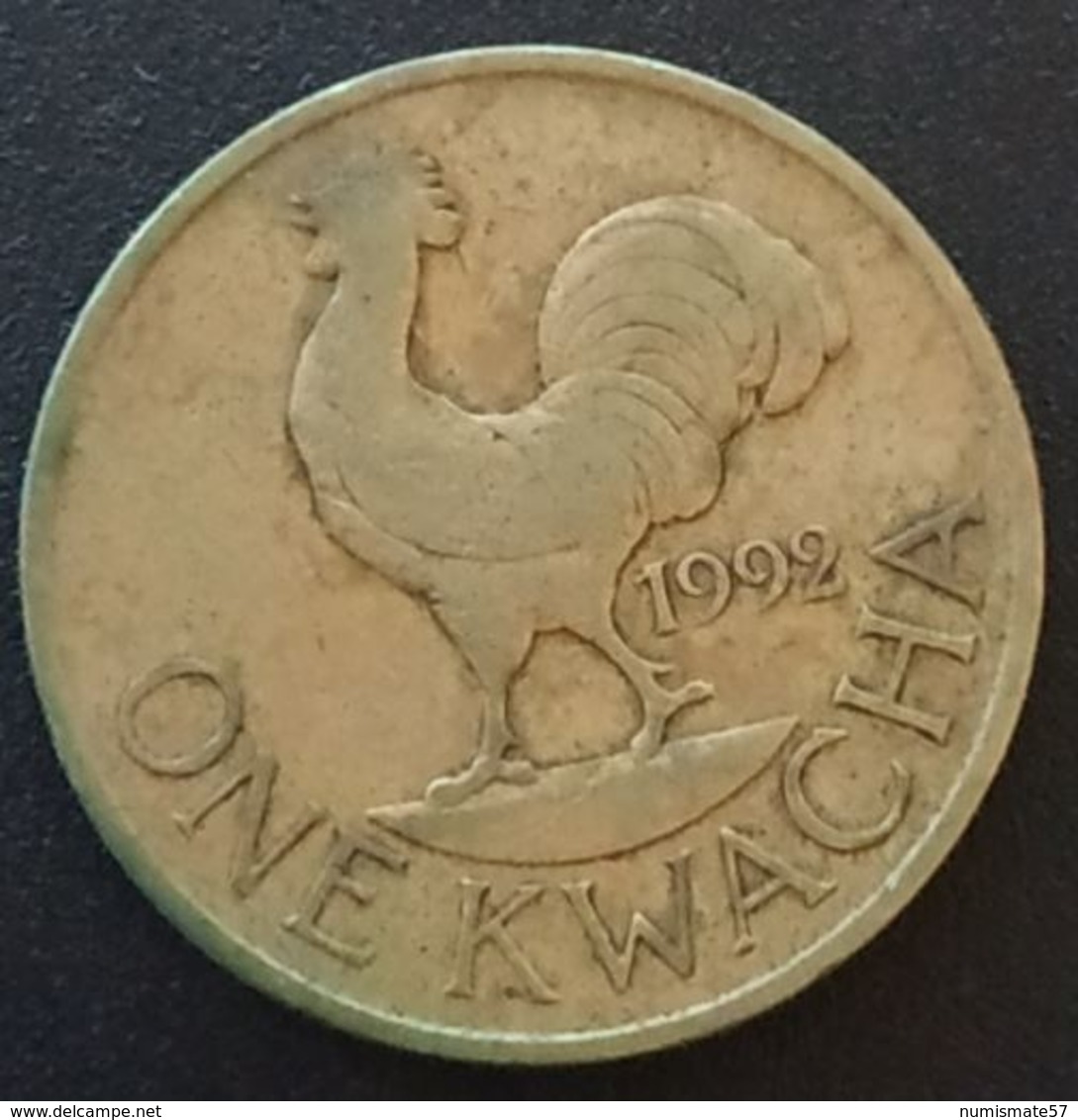 MALAWI - 1 KWACHA 1992 - KM 20 - Malawi