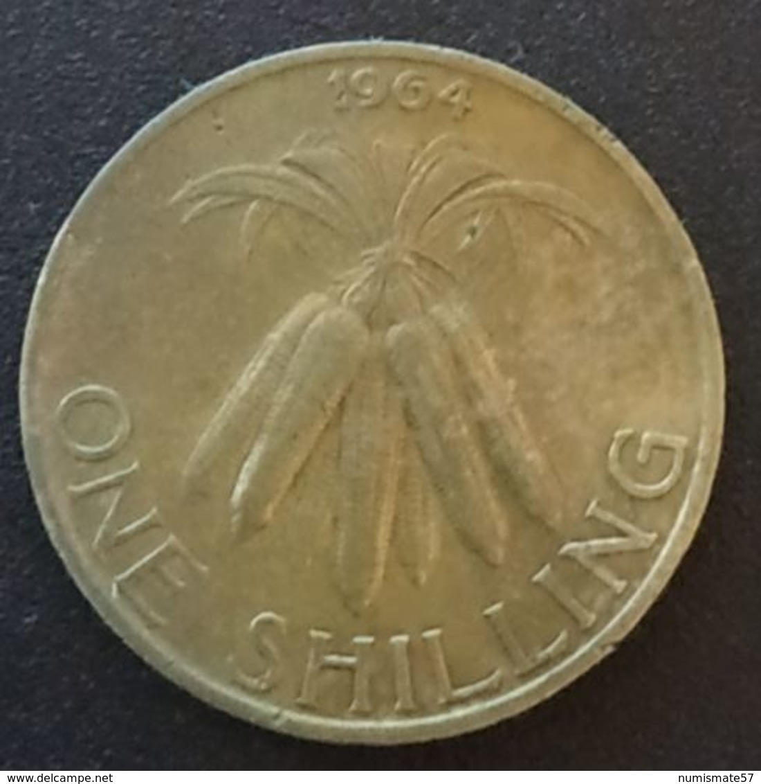 MALAWI - ONE - 1 SHILLING 1964 - KM 2 - Malawi