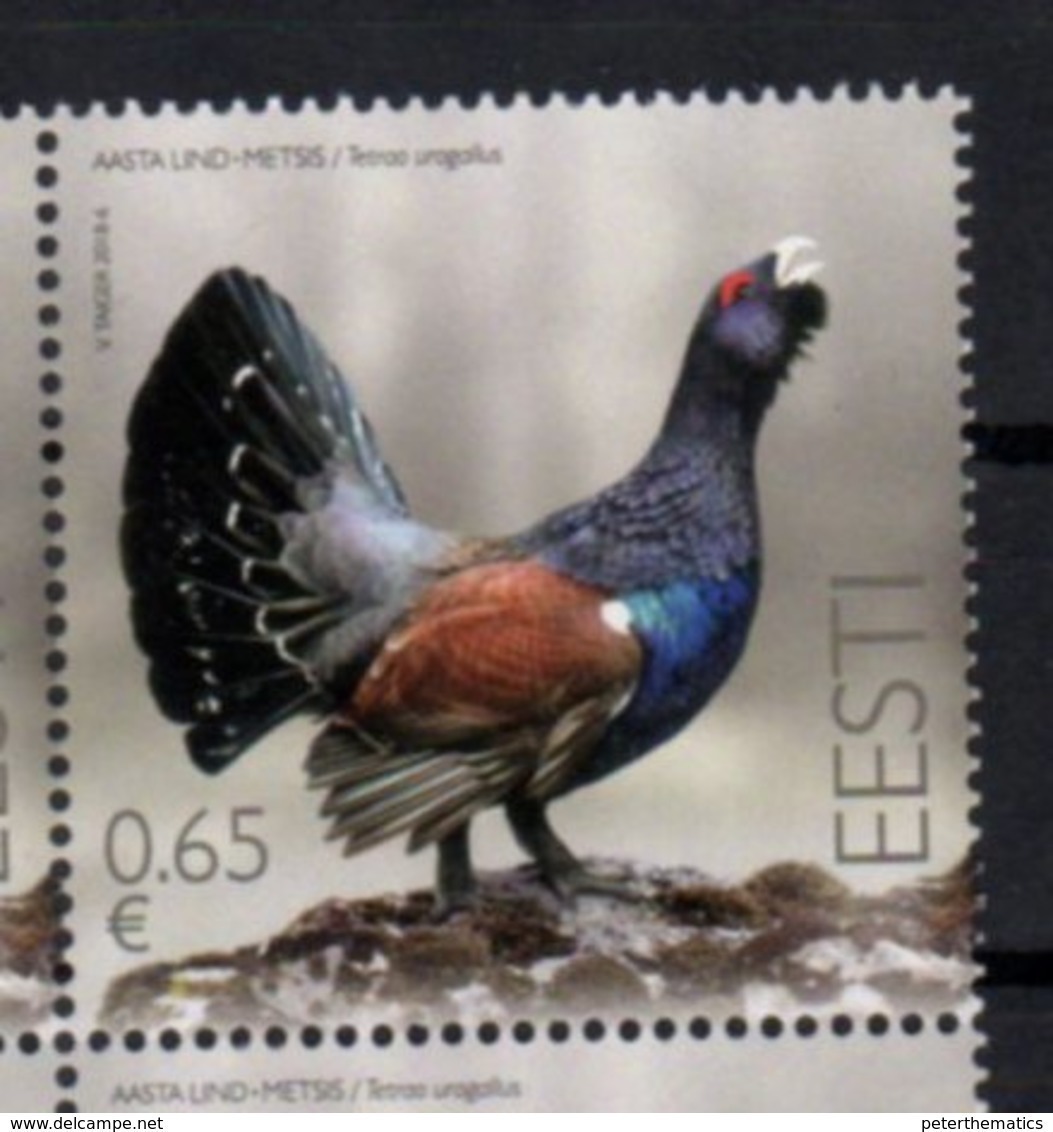 ESTONIA , 2018, MNH, BIRDS, 1v - Other & Unclassified