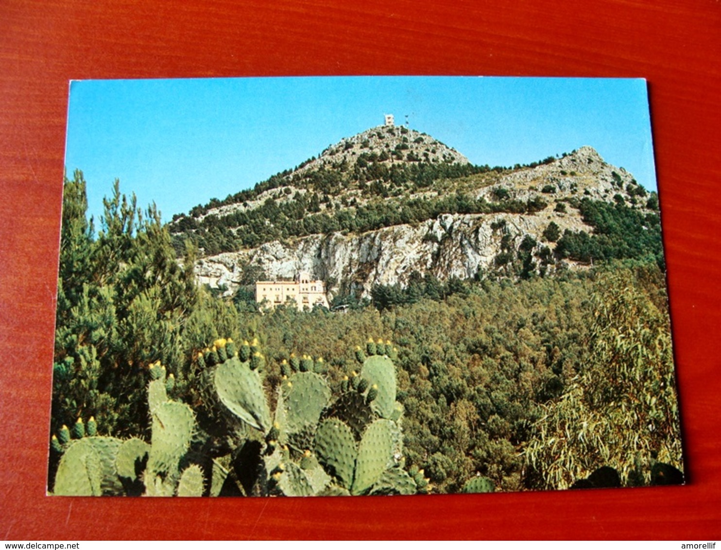 (FG.X09) PALERMO - SANTUARIO SANTA ROSALIA - VISTO DALLA PANORAMICA (NV) - Palermo