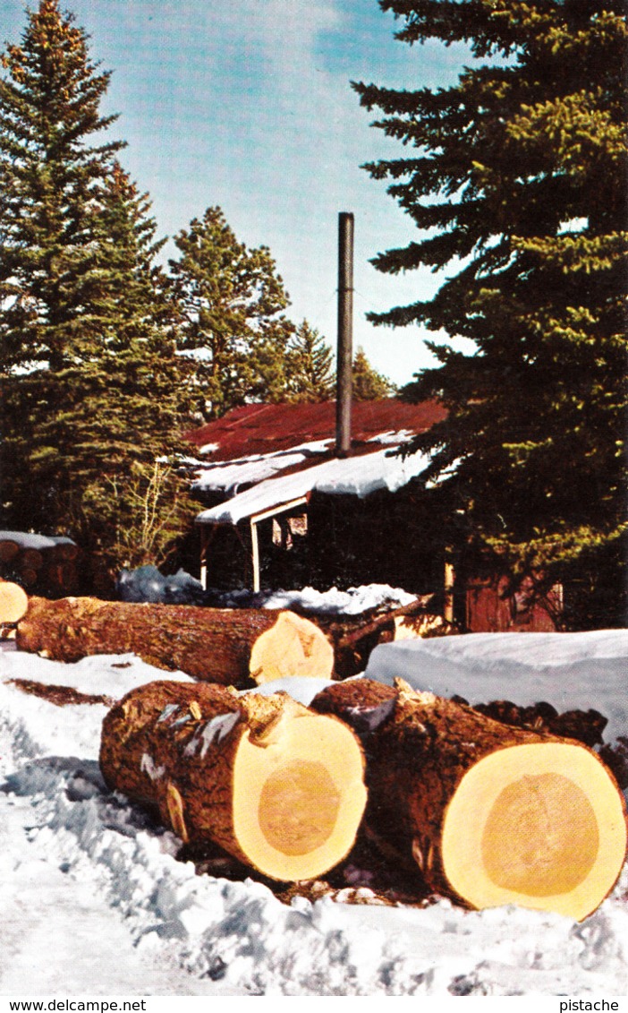 Sawmill In The Winter Time - Trees Wood - Scierie Moulin à Scie - Bois - Unused - 2 Scans - Other & Unclassified