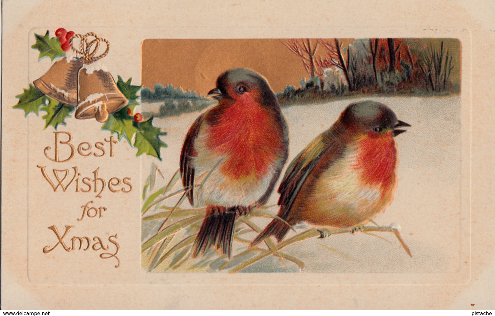 Christmas Greetings - Birds - Embossed - Gilding - Mailed From And To Sherbrooke Québec In 1909 - 2 Scans - Other & Unclassified