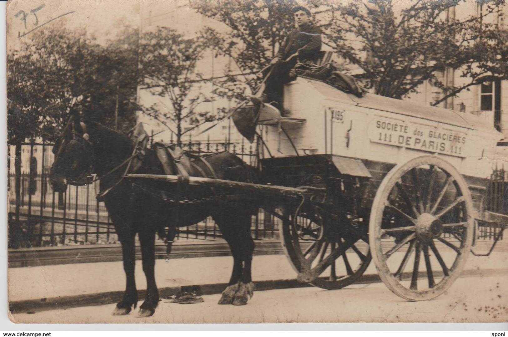 75 Paris ( Societe Des Glacieres De Paris ) Carte Photo - Petits Métiers à Paris