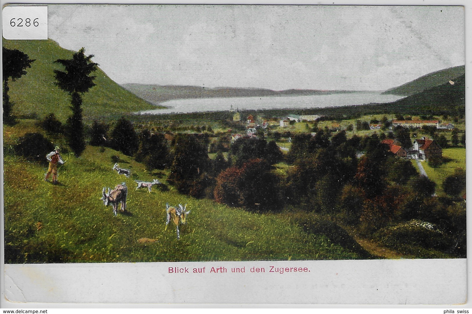 Blick Auf Arth Und Den Zugersee - Arth-Rigi-Bahn - Ziegen Goat - Arth