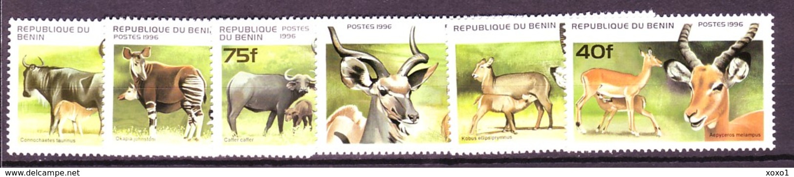 Benin 1996 MiNr. 856 - 861 Animals Ungulates 6v MNH** 4,50 € - Benin - Dahomey (1960-...)