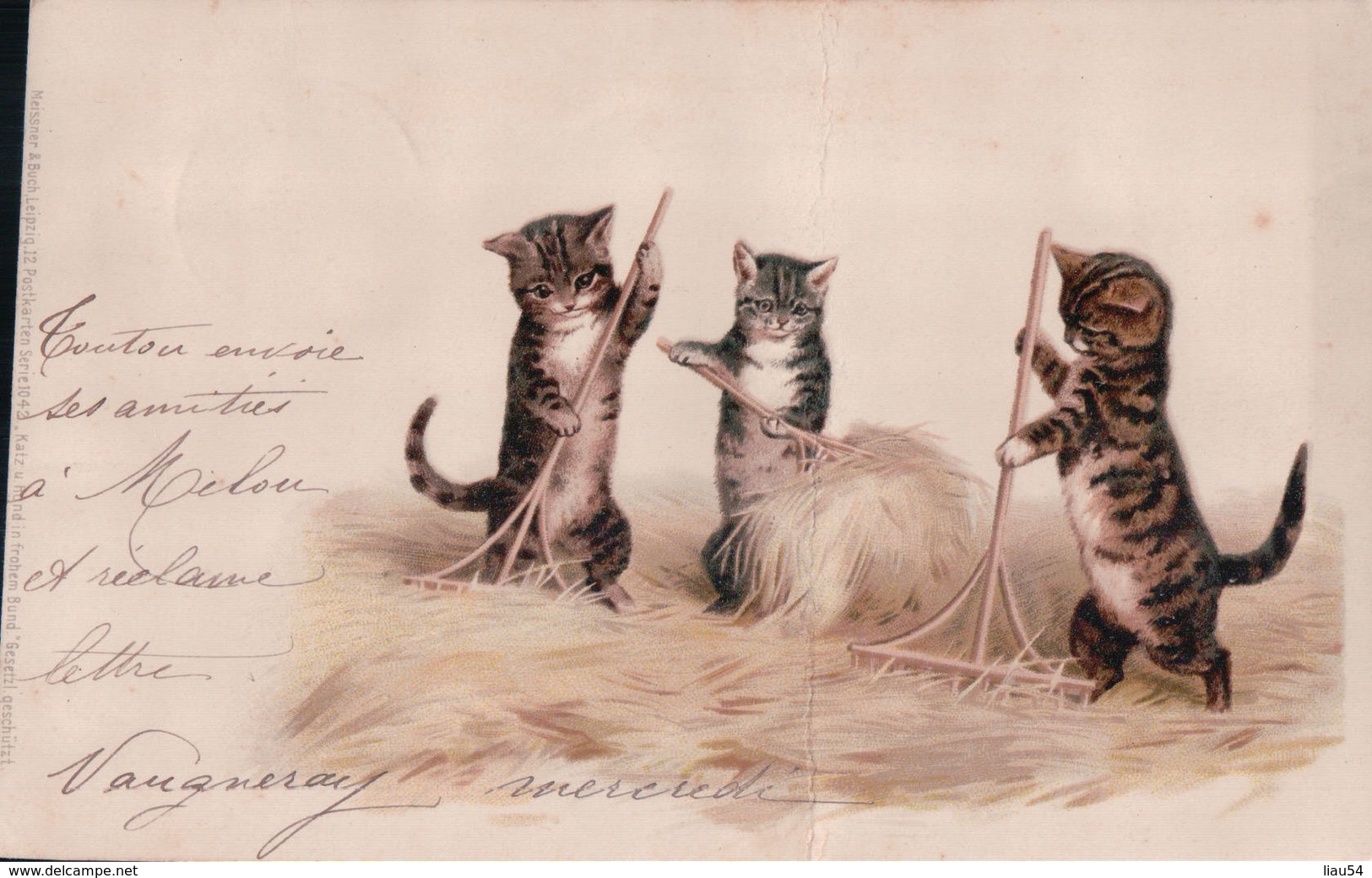 Chats Humanisés à La Fenaison - Cats