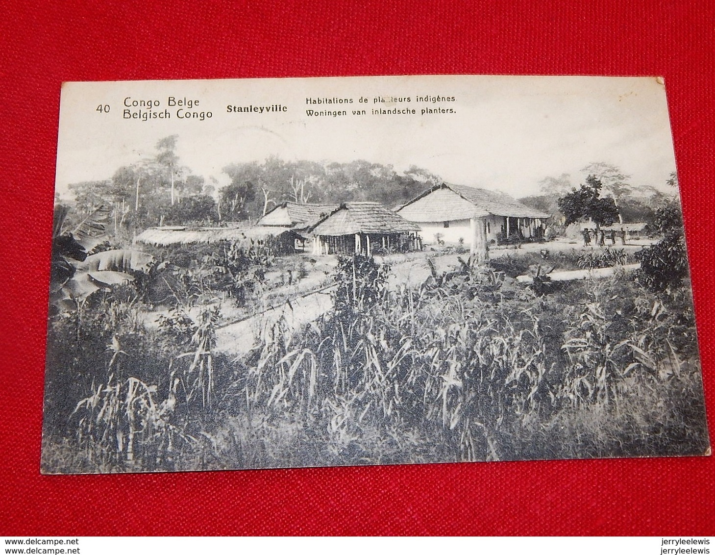 CONGO BELGE  -  Habitations  De Planteurs Indigènes  - Woningen Van Inlandse Planters - Congo Belga