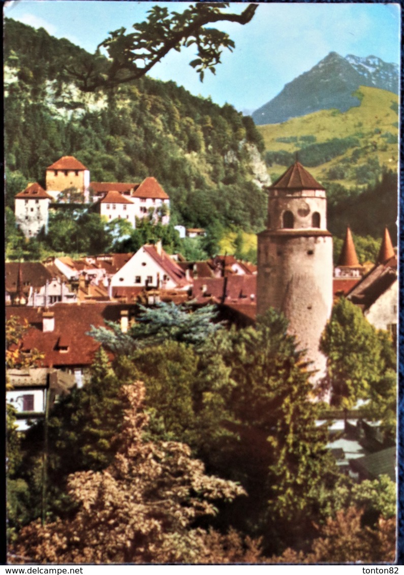 Feldkirch - Château Et Vue Vers Le Gurtsspitze . - Autres & Non Classés