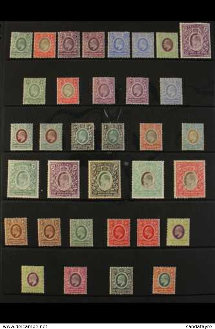 EAST AFRICA & UGANDA PROTECTORATES  1903-1921 MINT COLLECTION Presented On Stock Pages. Includes 1903-04 CA Wmk Range To - Britisch-Ostafrika