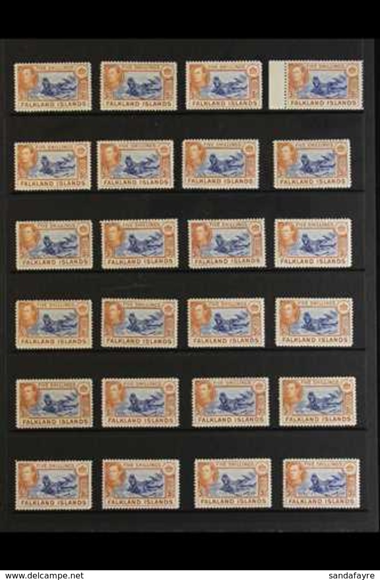 1938-50 5s "SEALION" SHADES ACCUMULATION CAT £2875+  A Stock Page Bearing 24 Fine Mint Examples Of The Pictorial 5s "Sou - Falklandinseln