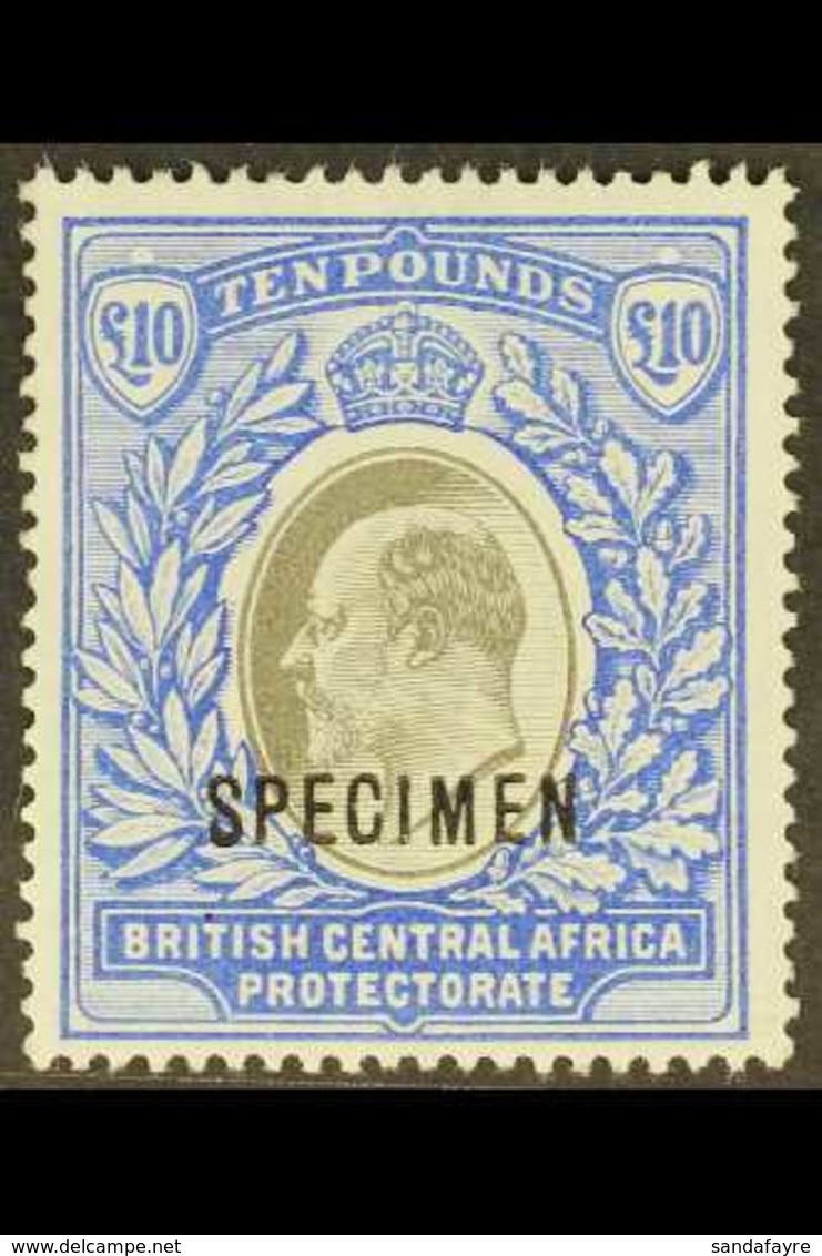 1903-04  £10 Grey And Blue Opt'd "SPECIMEN", SG 67s, Mint Part OG, Very Fresh And Attractive. For More Images, Please Vi - Nyassaland (1907-1953)