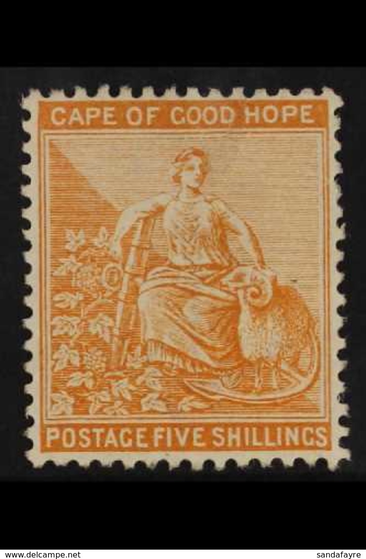 CAPE OF GOOD HOPE  1884 5s Orange, Wmk Anchor, Hope, SG 54, Very Fine Mint Og. For More Images, Please Visit Http://www. - Ohne Zuordnung