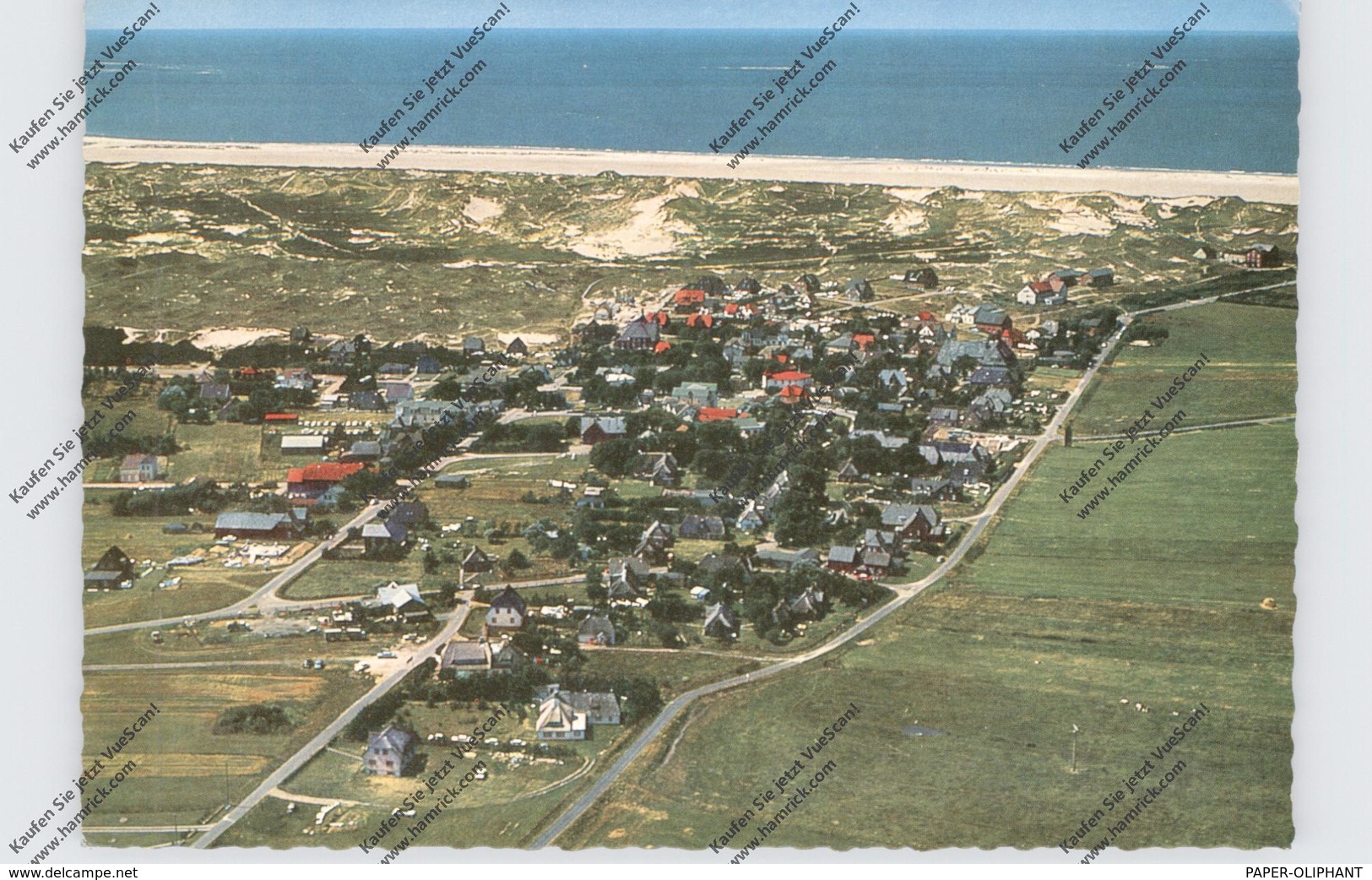 2278 NORDDORF / Amrum, Luftaufnahme, Ort Und Kniepsand - Nordfriesland