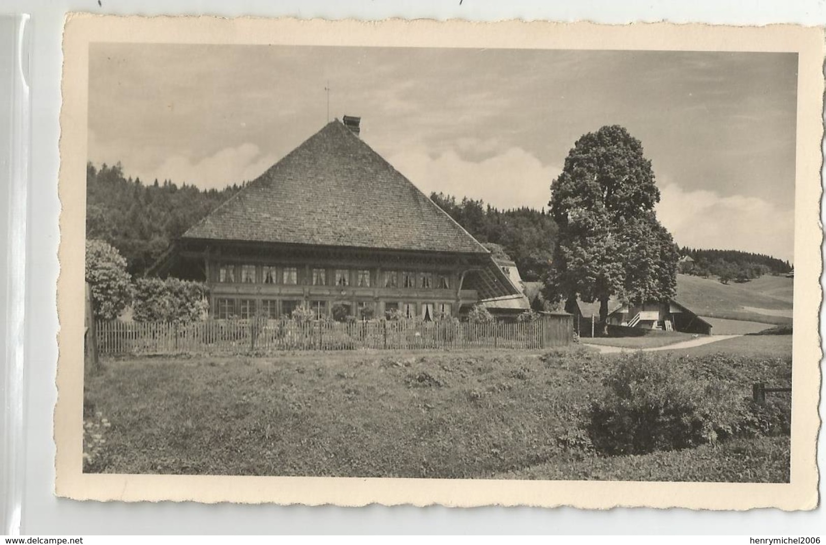 Suisse Zurich Carte Photo Supply E.sigg - Zürich