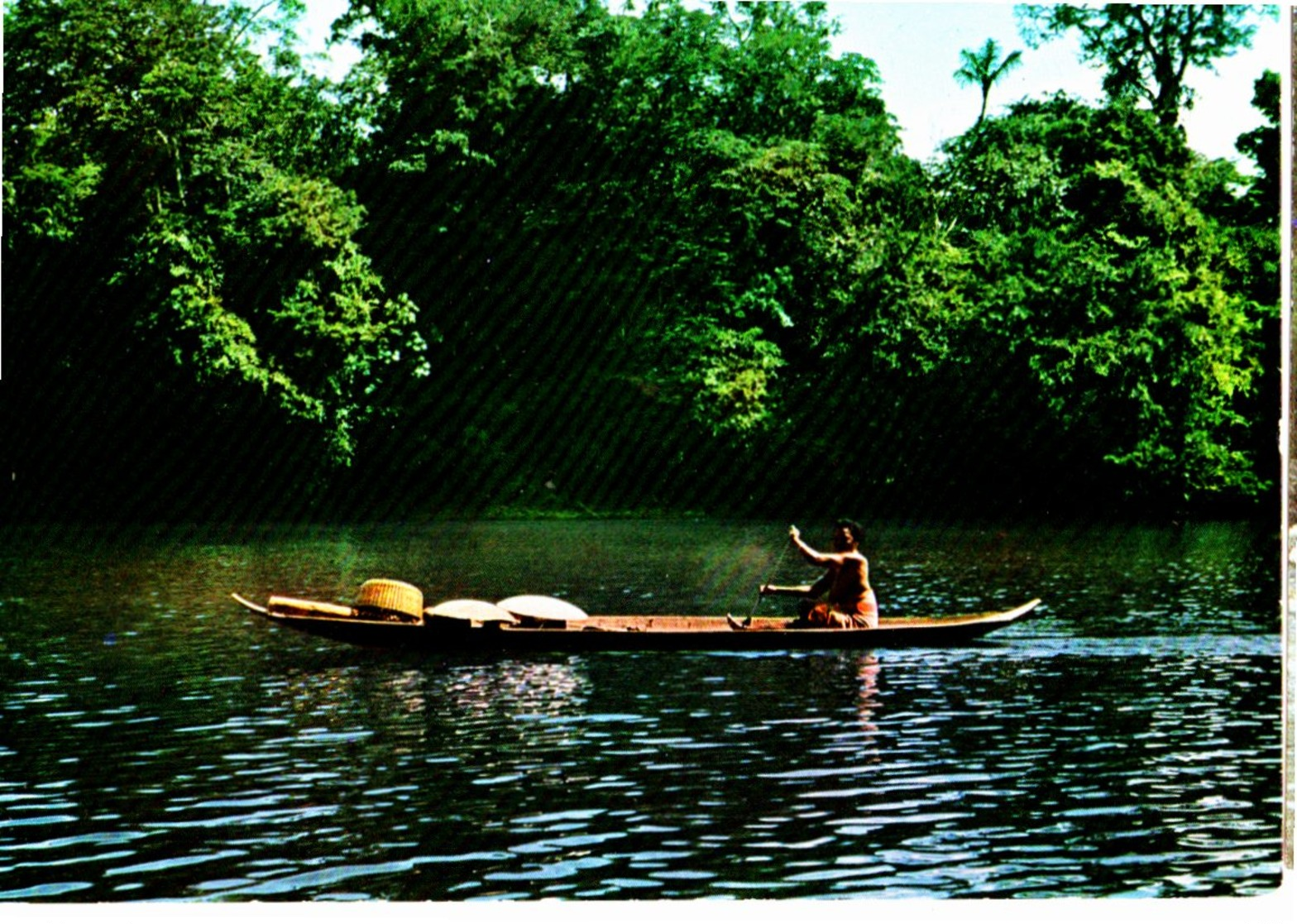 CPM  -  Guyane - Femme Bosch En Canot Sur Le Fleuve Maroni-  Neuve - Autres & Non Classés