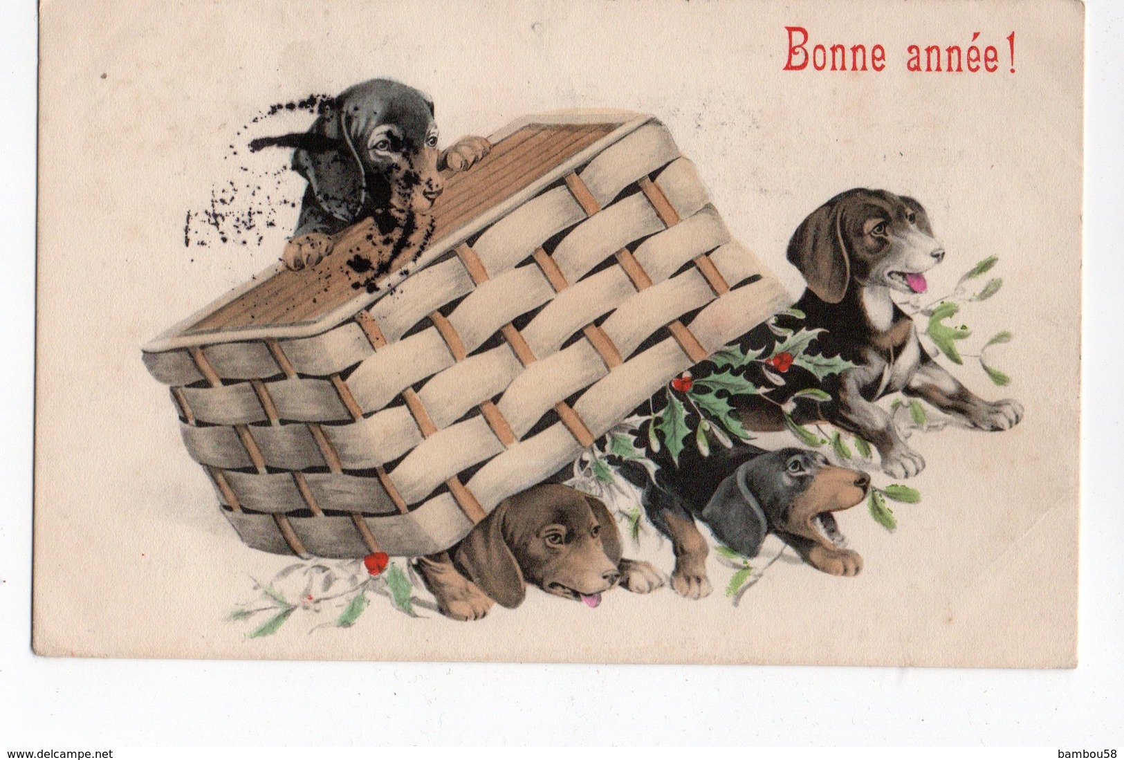 ANIMAUX - CHIEN * DOG * TECKEL * PANIER * HOUX * BONNE ANNEE * Carte Colorisée - Perros