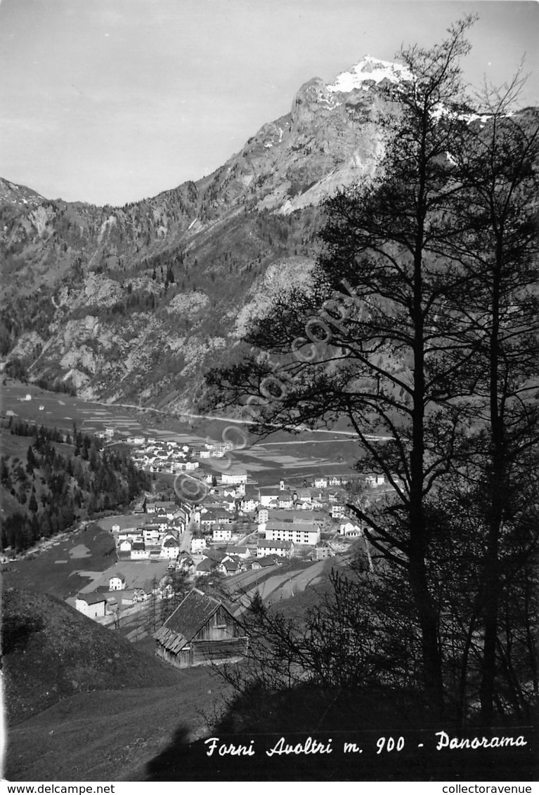 Cartolina Forni Avoltri Panorama 1956 (Udine) - Udine